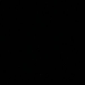 Meet your Posher, Alonzo